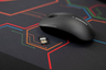 CHERRY MW 2400 Wireless Maus Vorschau