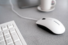 Thumbnail image of CHERRY MC 1000 Mouse White/Grey